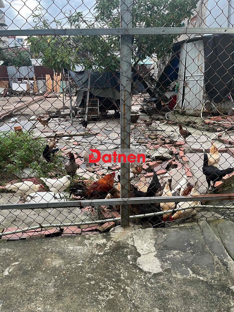 bán đất thổ cư 100%