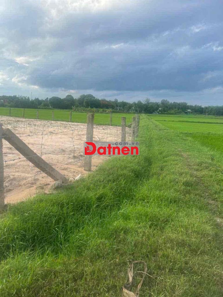 Bán 2700m2 đất nông nghiệp tại trung tâm Thị Xã LaGi,Bình Thuận