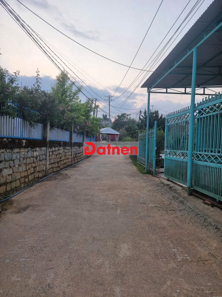 Bán đất đường Huỳnh Tấn Phát – vị trí tiềm năng tại Phường 11, Đà Lạt