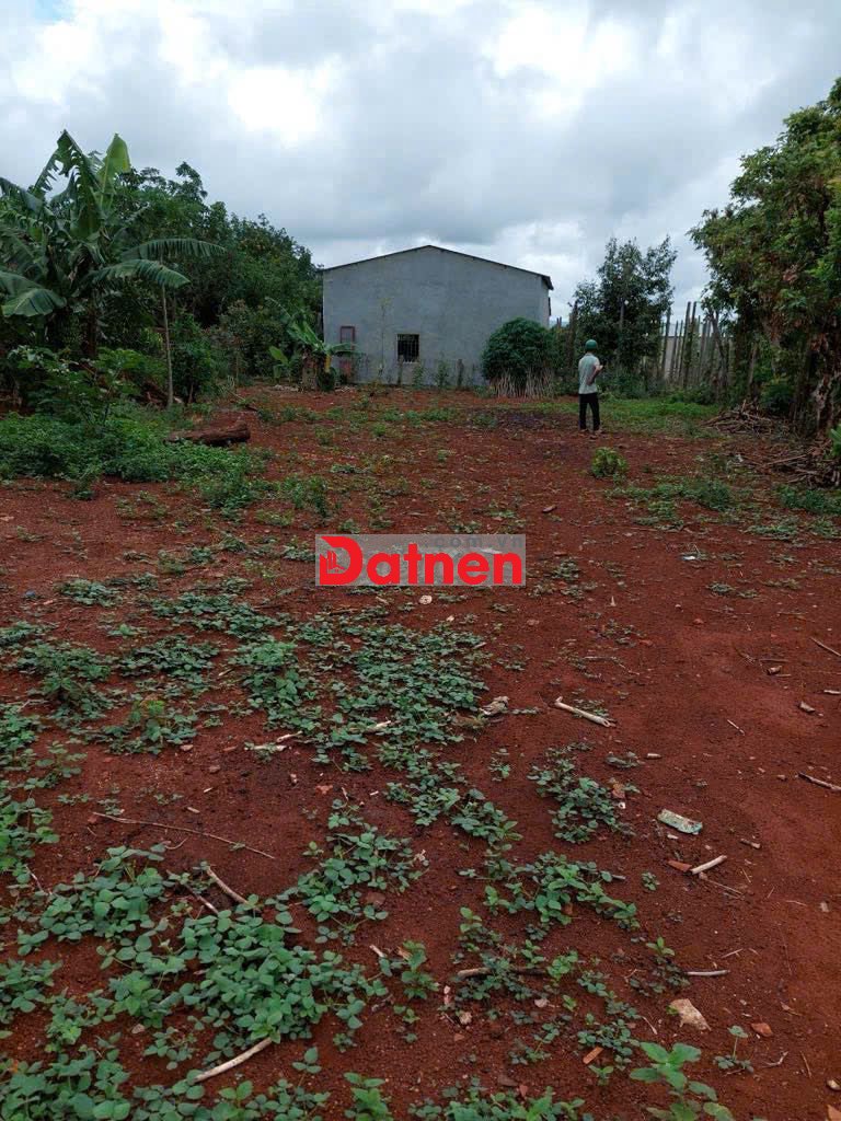 ĐẤT NỀN - SHR - IAKRIENG - GẦN UBND XÃ IAKRIENG