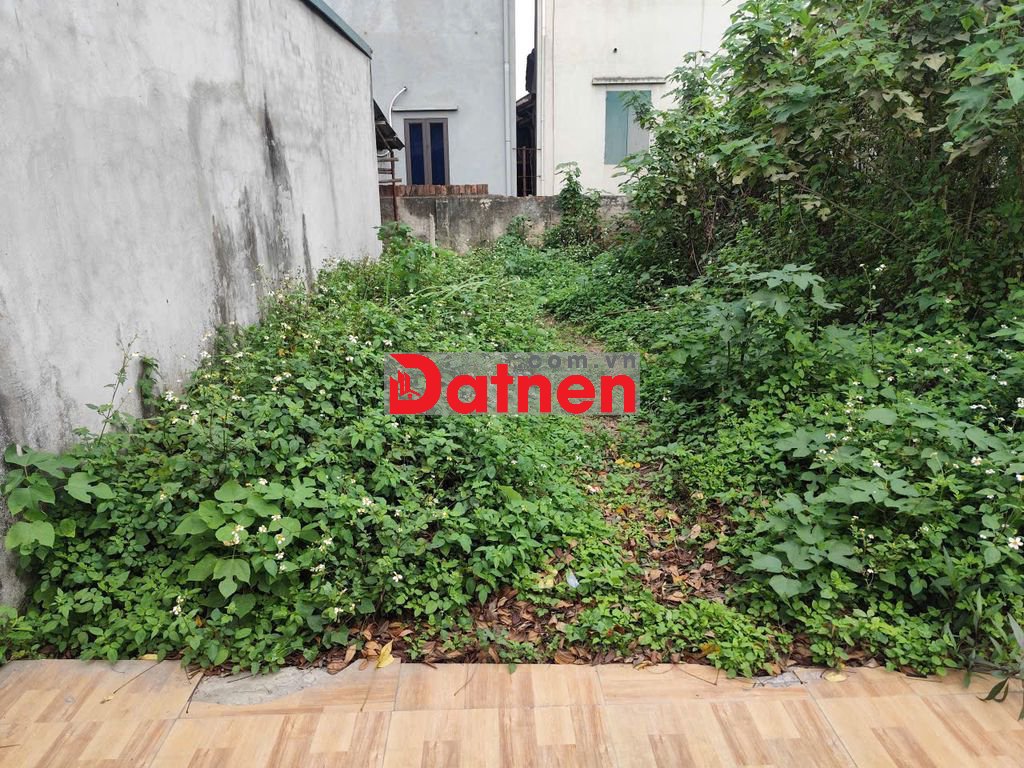 Cc gửi bán lô đất Bình Minh, 20m ra ngõ ô tô, DT41m giá 2ty7