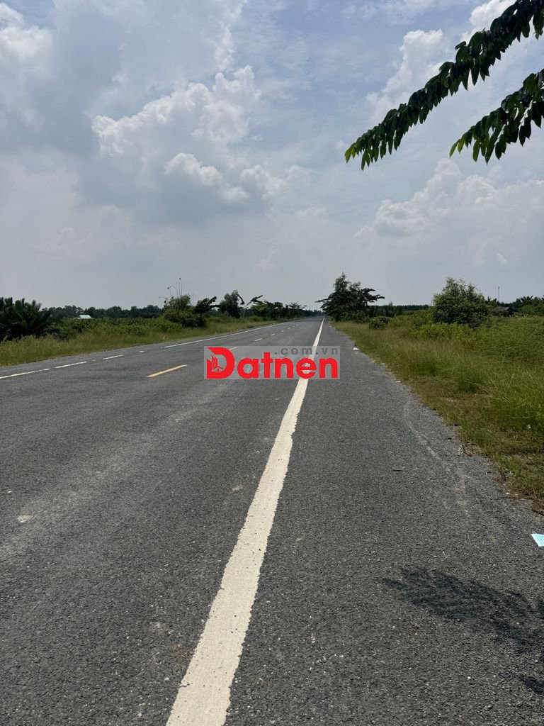 826m2 Mặt tiền tân tập long hậu - kẹt tiền bán gấp 2,4 tỷ