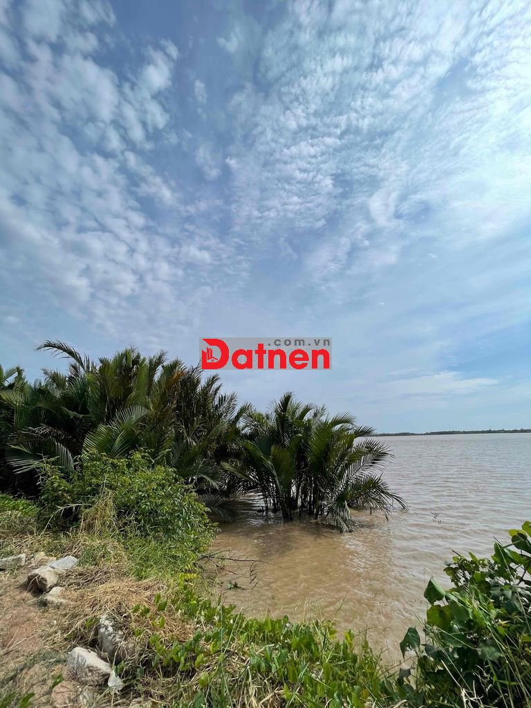 Mặt tiền sông Cửa Đại - Sông Mekong 🌴- CÓ 300M THỔ CƯ SẴN 💲 Giá