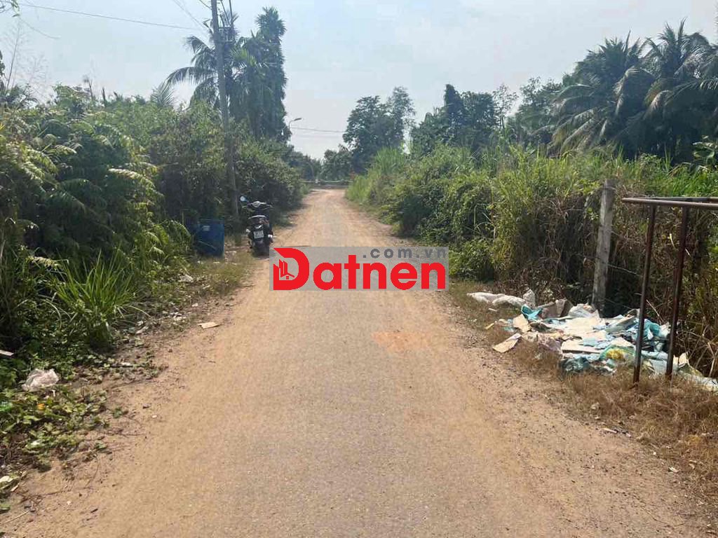 Bán 3 Lô liền kề - Mặt tiền Nhị Bình 21