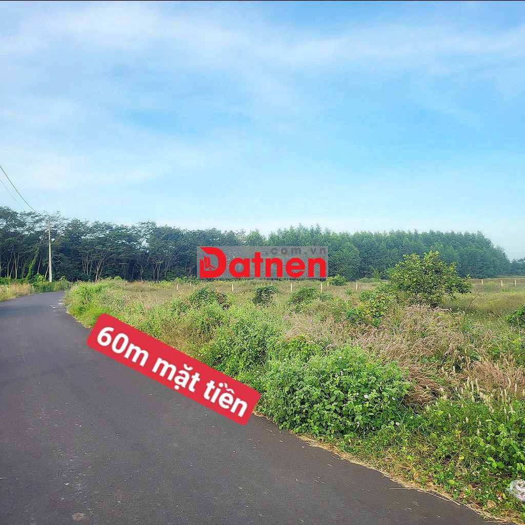 Bán đất tại Xã Long Tân, Long Đất, Bà Rịa Vũng Tàu, 1,65 tỷ, 1000m2