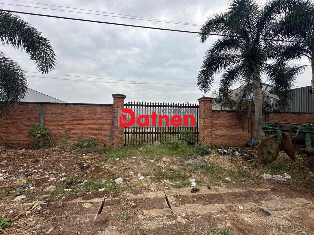 ĐẤT NGỢP TL 765