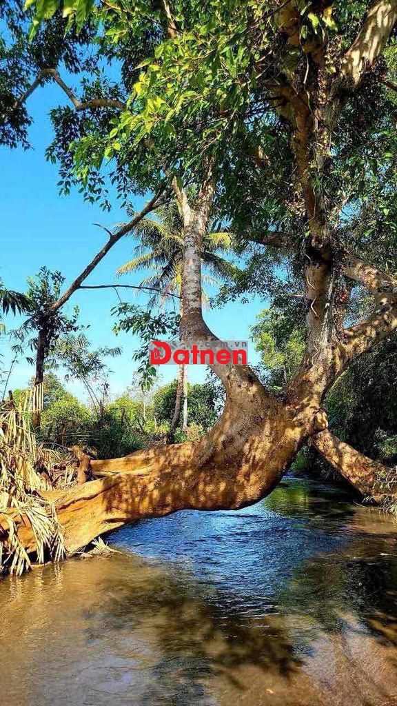 BÁN GẤP 2,5 SÀO-100 TC- VIEW SUỐI THỀ NƯỚC QUANH NĂM