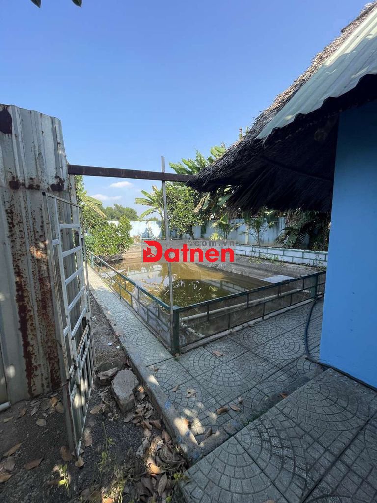 Nhà vườn 576m khu trại dê Đời Tân. Rạch Cây Xanh