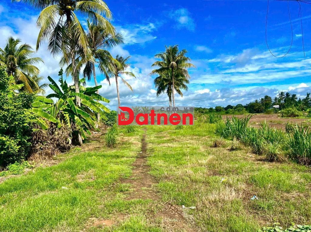 Đất mặt tiền Quốc lộ 1A Tam Bình Vĩnh Long