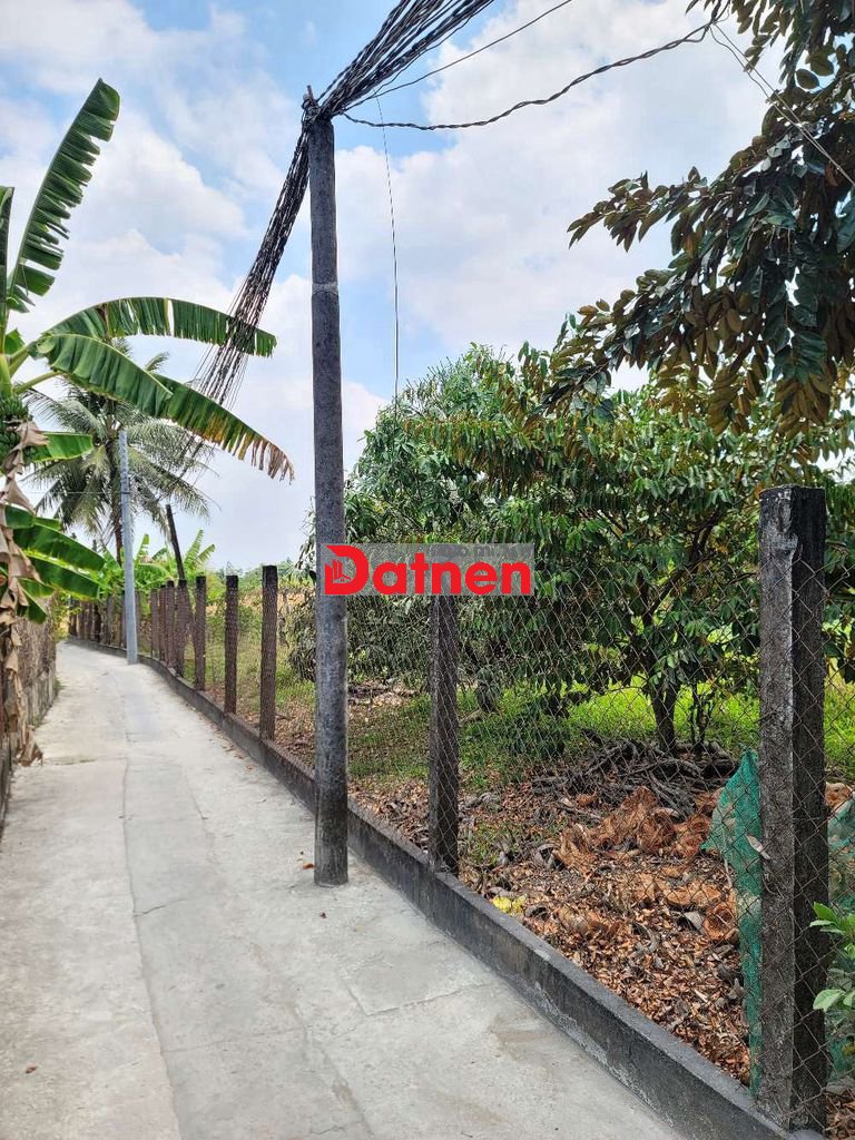 Đất vườn Cần Giuộc - Long An 1.197m², sổ hồng riêng.