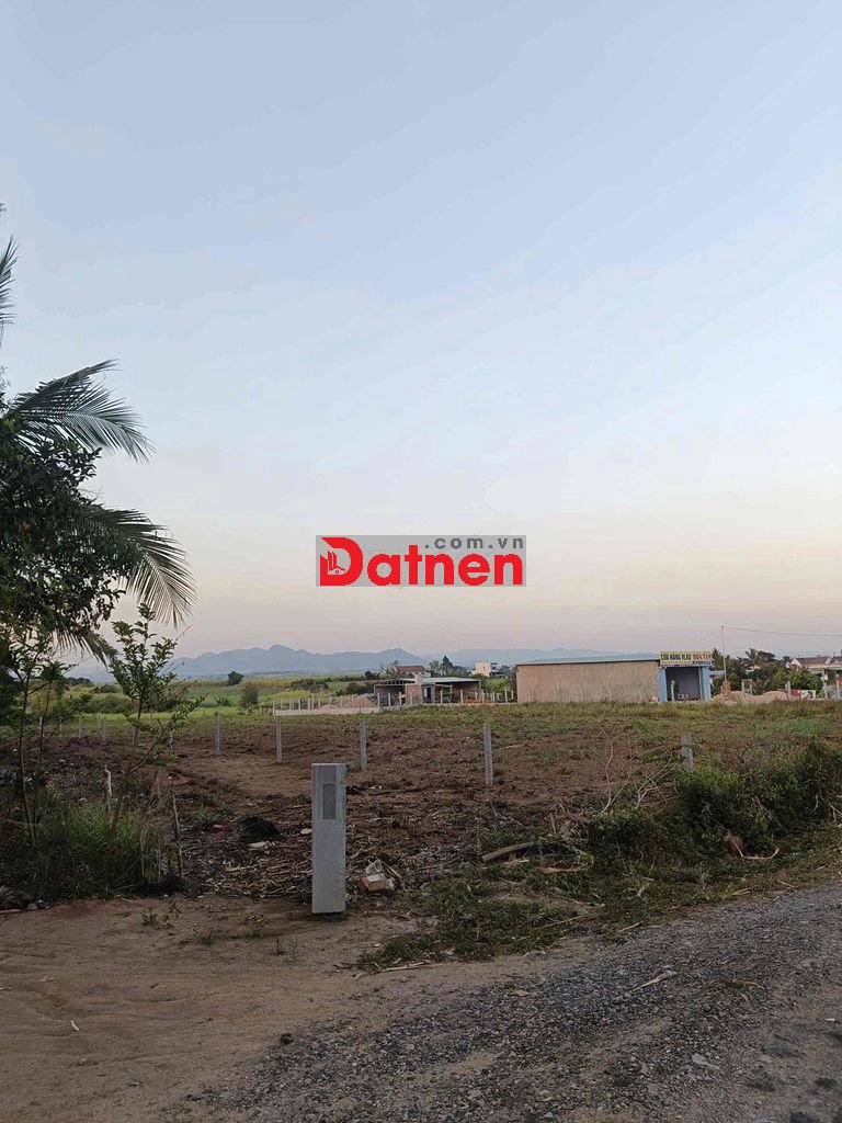 Chủ cần bán đất đi thăm Muội Muội… lh ***- đất qlo 19 .. đức bì