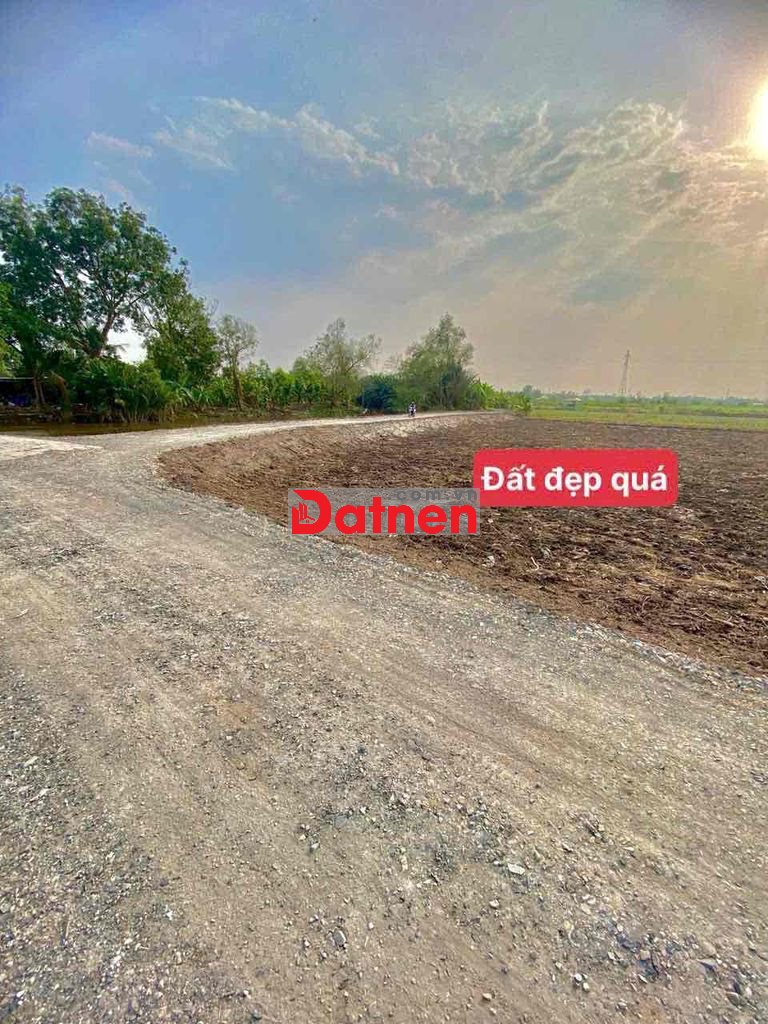 đất vườn cực đẹp giá rẻ ở bình đức tây ninh mới