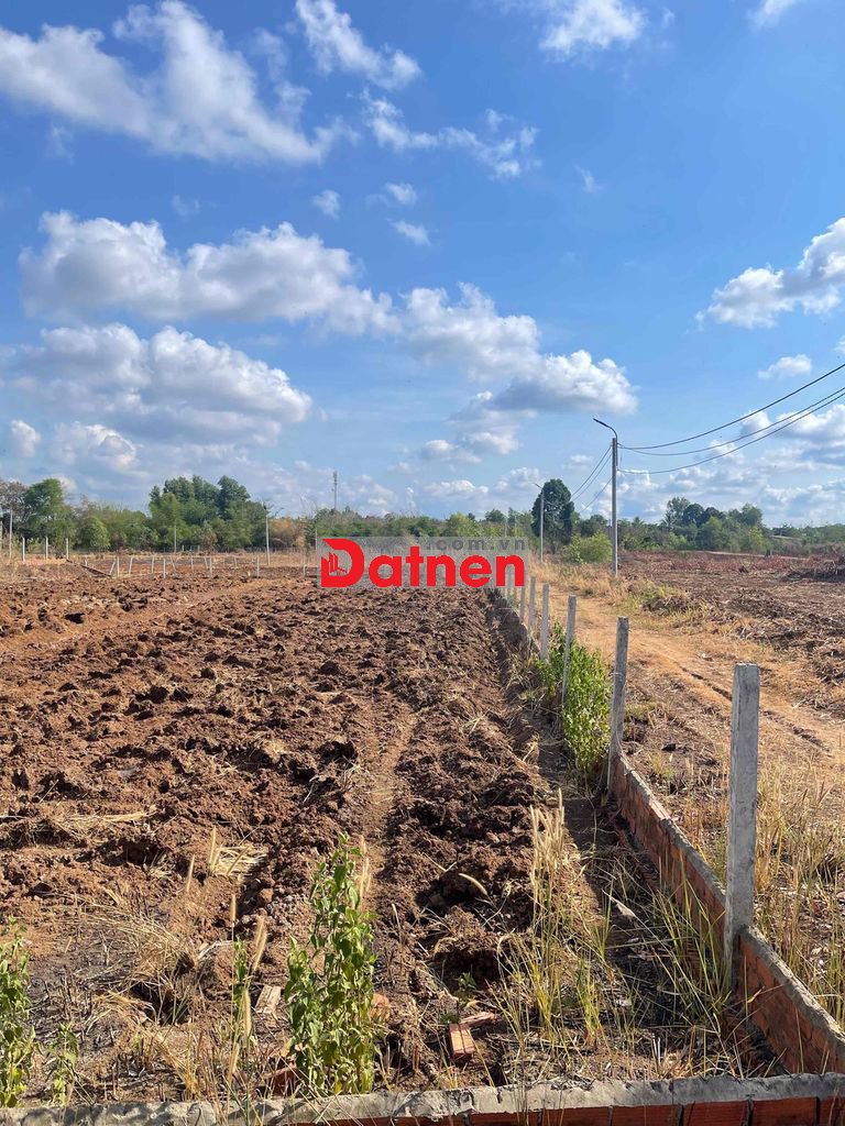 Bán đất vườn gần đường 769