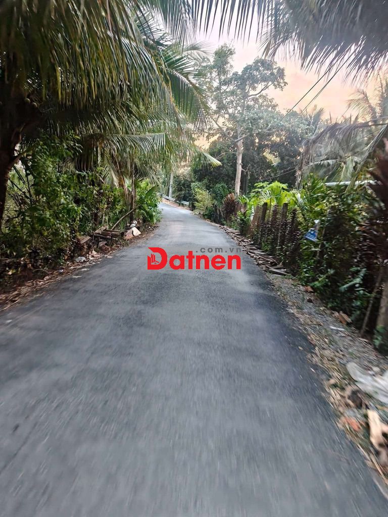 🔥 ĐẤT CAI LẬY 500M² (10x50) – 100M² THỔ CƯ – MẶT NHỰA, GIÁ 1,5 TỶ