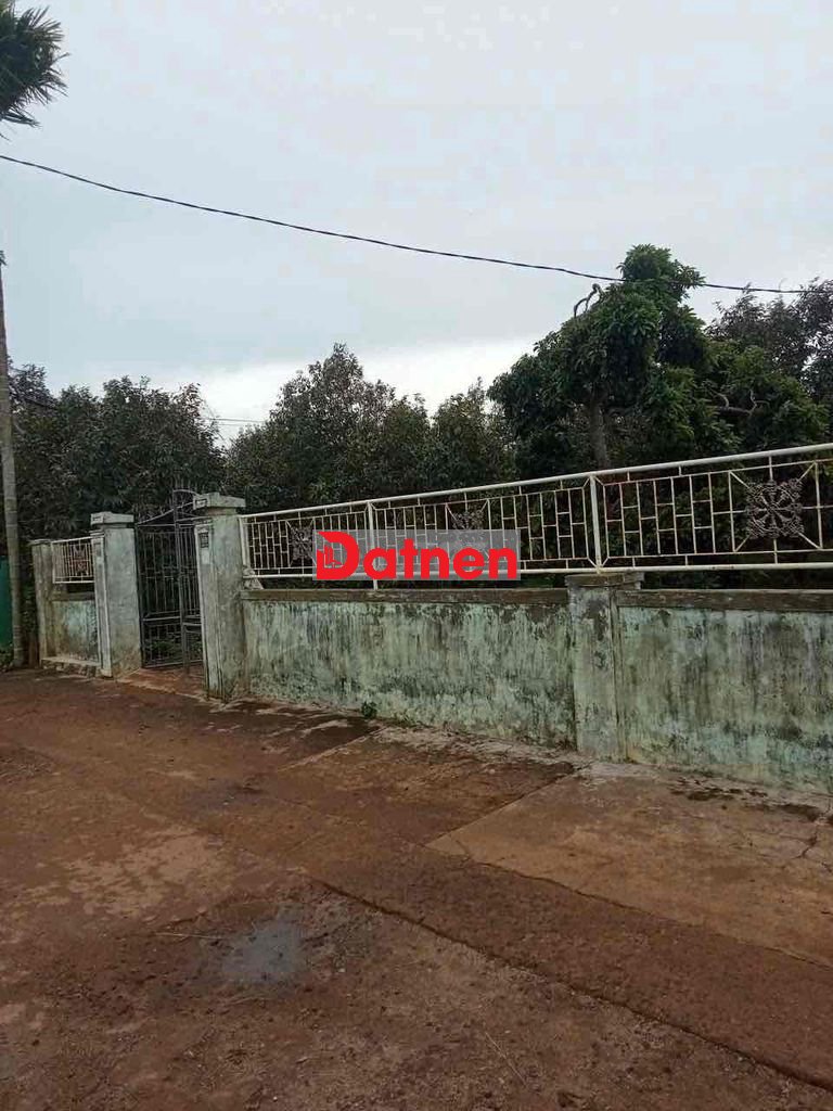 bán đất có nhà cấp 4