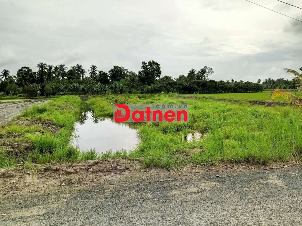 bán đất chính chủ