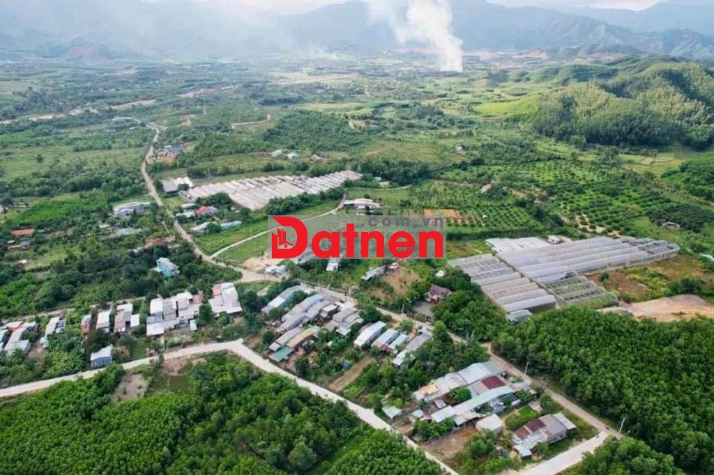 Đất trồng cây lâu năm 10.000m2 sát nam kỳ khởi nghĩa
