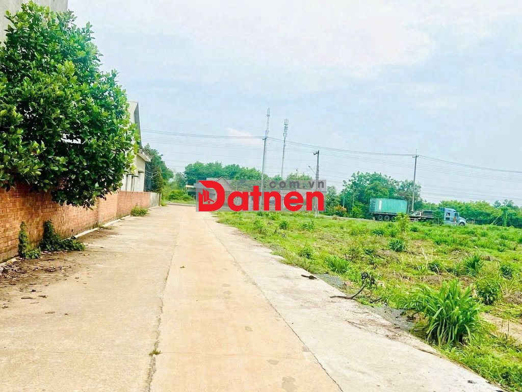 ĐẤT NGỘP 3 LÔ (15X40)=600M2 SHR, THỔ CƯ, NGAY CHỢ, DÂN ĐÔNG, GIÁ 550TR