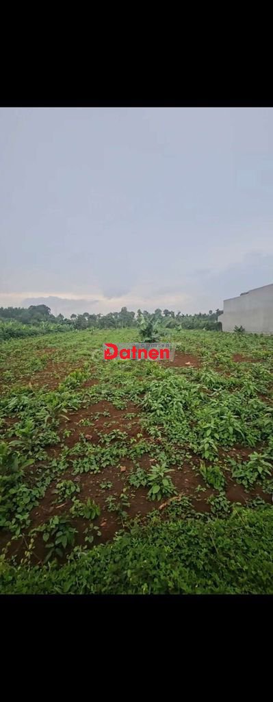 đất tphcm 1000m2 chỉ 1ty190