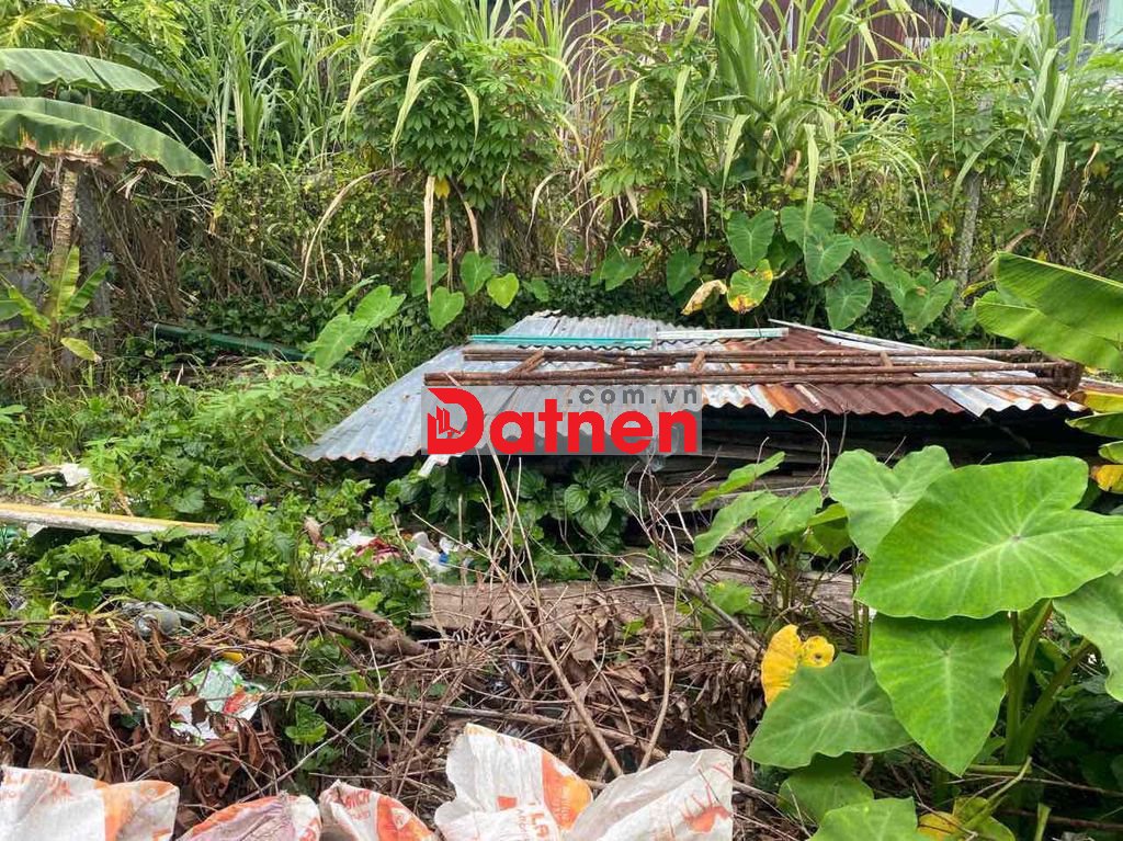 Tôi cần bán đất nền nông nghiệp, chính chủ