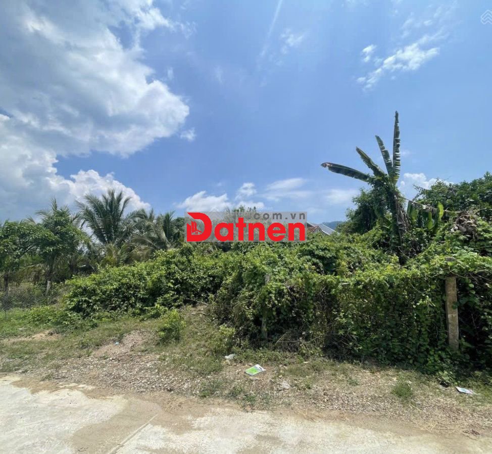 Bán đất giáp suối 576m2 full thổ cư, TL 8B, Thôn Suối Cá, Khánh Trung