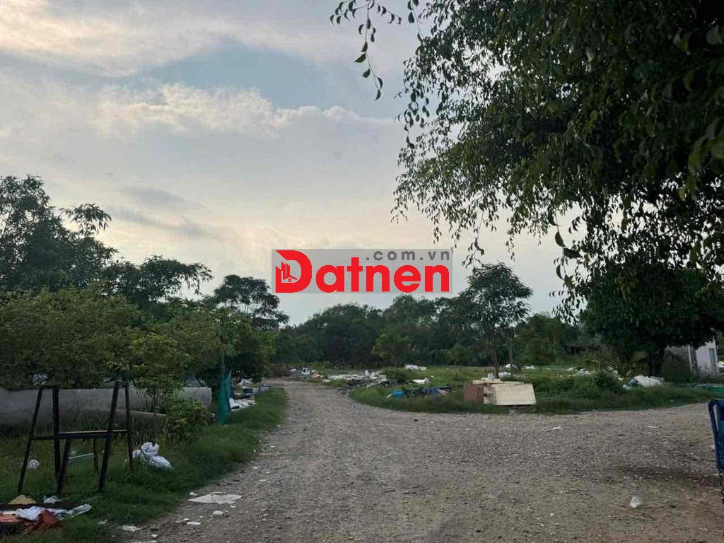 cần bán đất đường Đào Trí 20.000m2 hoặc cho thuê dài hạn