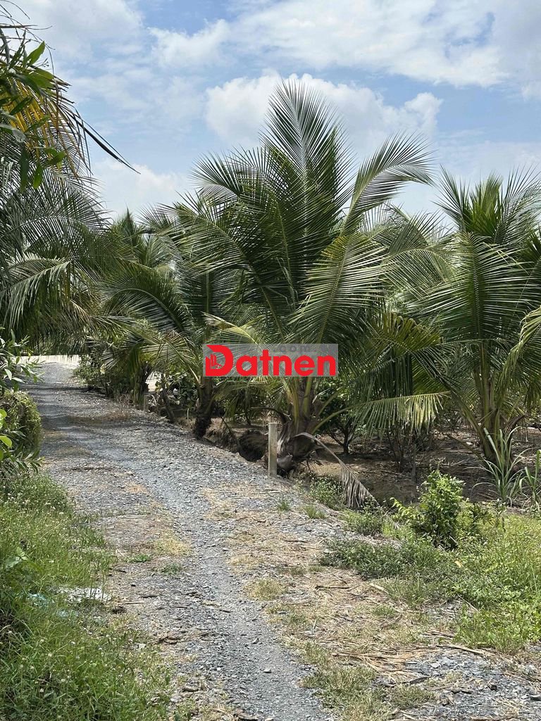 Đất vườn sổ đỏ 1263m2 cách TL 816 900m