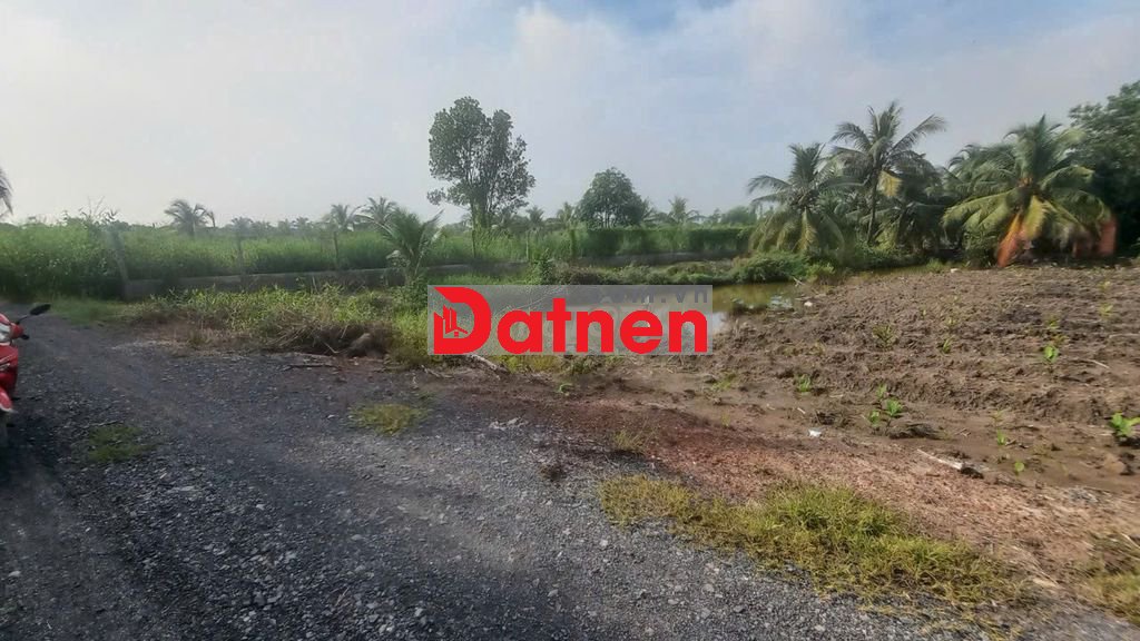 Bán 1.000 m² đất Kênh 9 (Võ Văn Kiệt) Tân Nhựt. Giá 5,5 tỷ