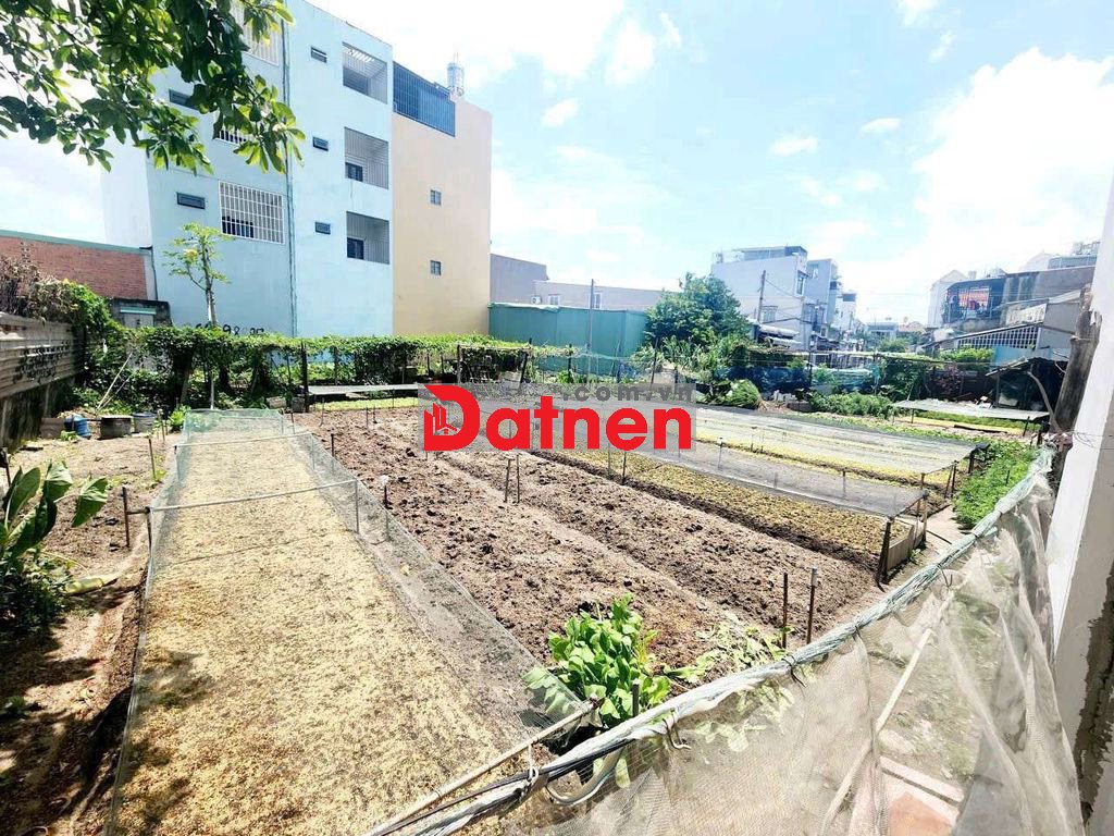 Đất full thổ cư 342m, sổ hồng riêng, đường 8m