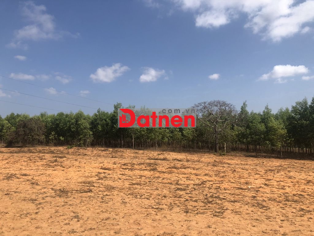 Đất Xã Hòa Thắng, Phan Thiet, Bình Thuận, Vietnam