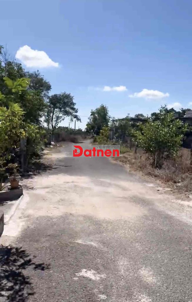 Bán đất Bông Trang full hồng - 1942m2 5tỷ7 ngang 42m
