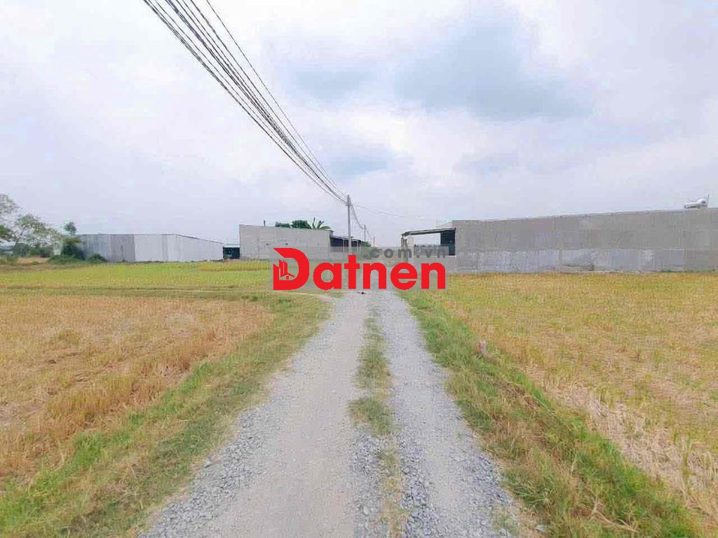 CHỦ CẦN BÁN GẮP LÔ ĐẤT