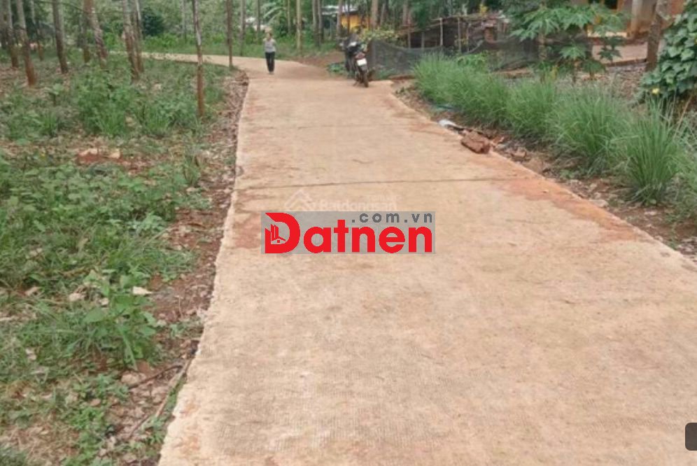 Chính chủ bán gấp bán 1000m2 gần ubnd Tân Lợi, sổ sẵn, khu dân cư