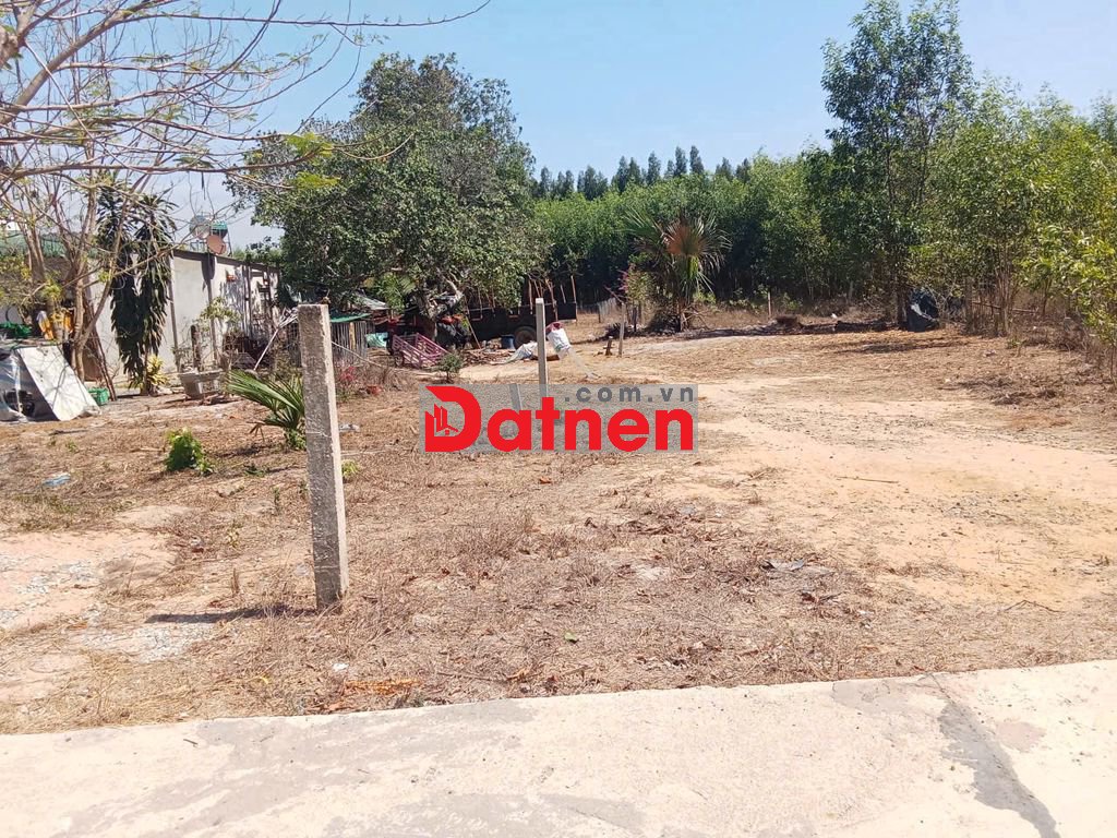 Đất rẻ xây nhà chuẩn bài, DT bao dài bao thoáng đây ạ! Chỉ 500 triệu