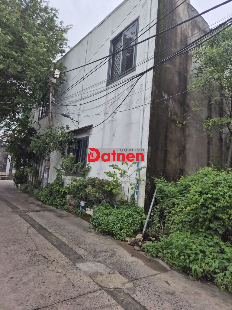 Đất ở đô thị