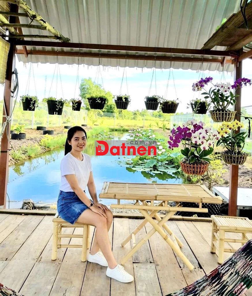 Hàng Thơm, chỉ 550 tr sở hữu 412m2 đất có thổ View Kênh