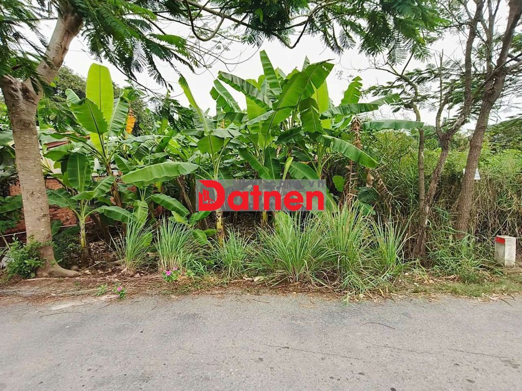 Bán đất MT đường Hóc Hưu, Qui Đức, Bình Chánh. 180m² Đất CLN, 1,4 tỷ