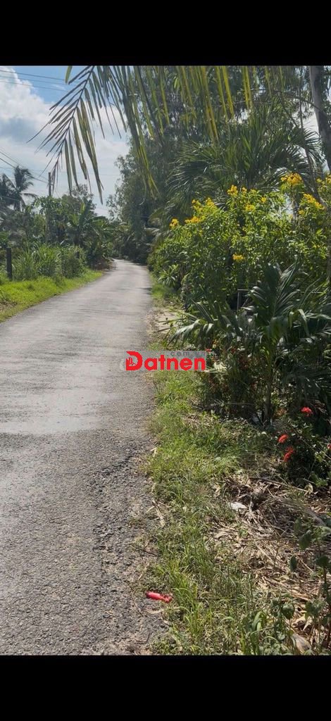 mặt tiền nhựa xã Thanh Bình gần chợ