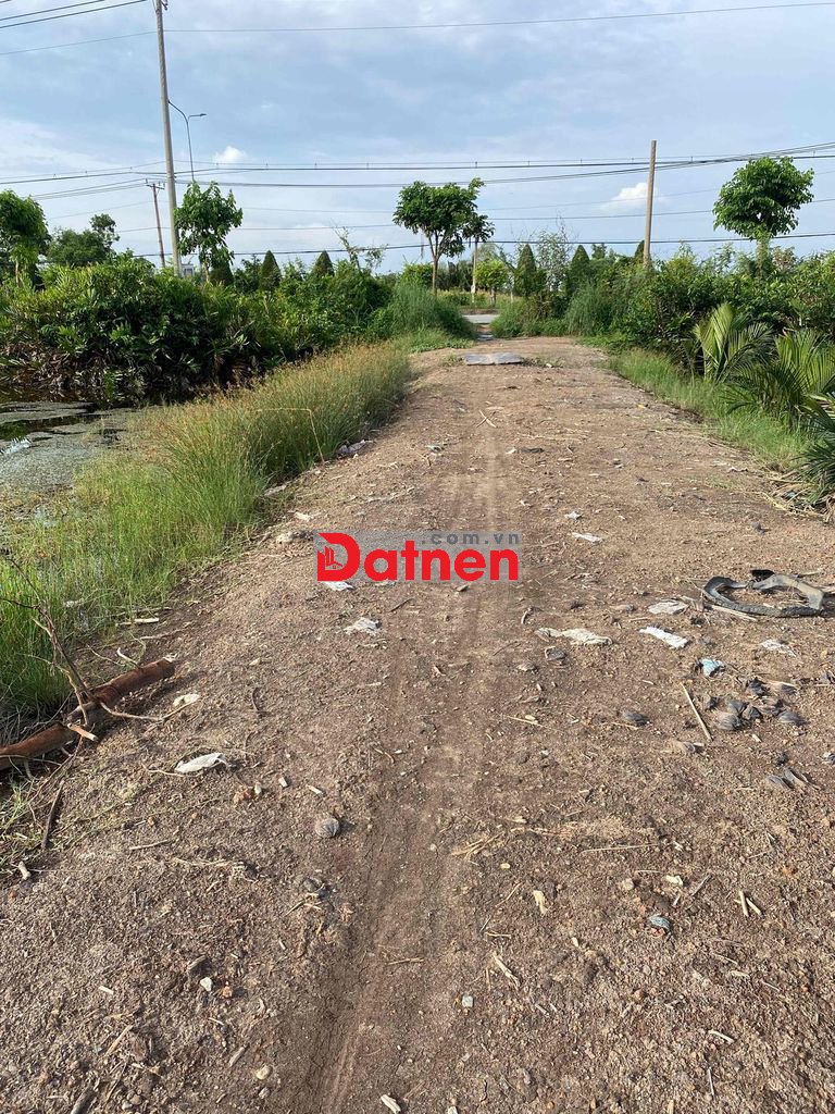 cần bán gấp đất cần giờ, mặt sông rạch cá gấu lớn