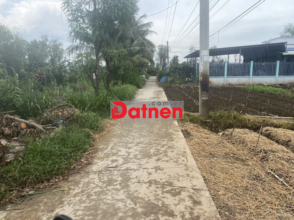 bán đất mặt tiền đường xe hơi xã bình nghị gò công đông