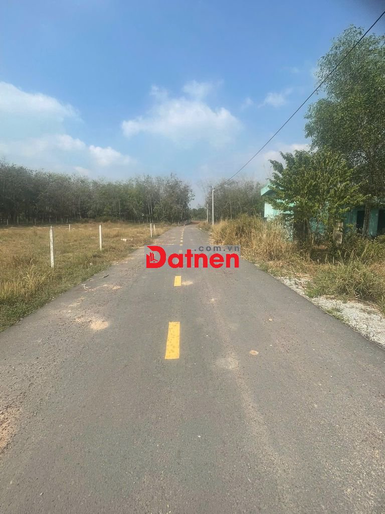 CHÍNH CHỦ GỬI BÁN 1900M² MẶT TIỀN ĐƯỜNG NHỰA 32M – GẦN CHỢ, TRƯỜNG