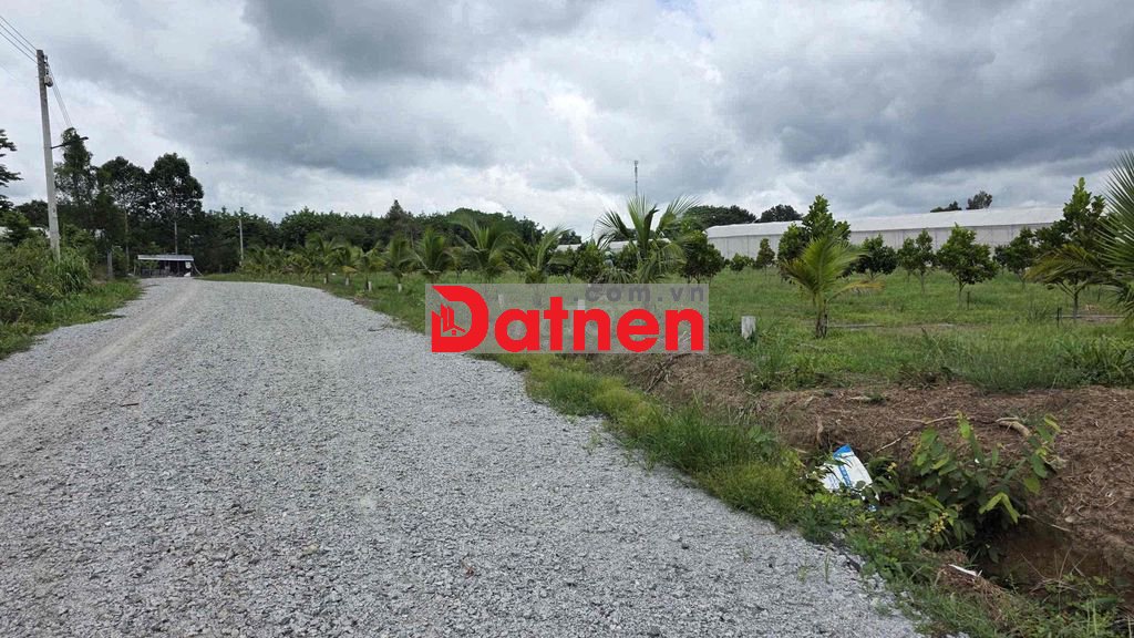 ĐẤT THỔ CƯ GẦN CHỞ,TRƯỜNG HỌC Ở TP HCM GIÁ 350Tr
