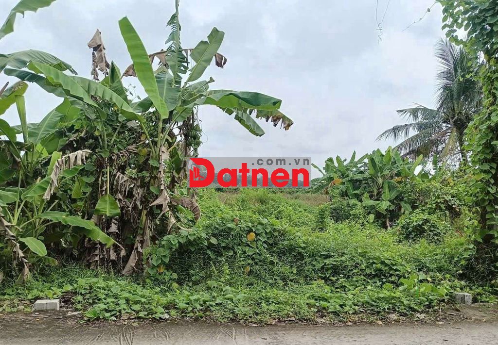 đất nền giá rẻ