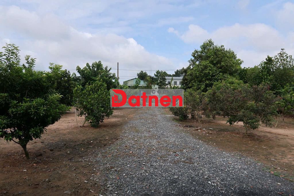 2 MT lộ bờ đai 14,2M X 20M,phuoc lý,go den
