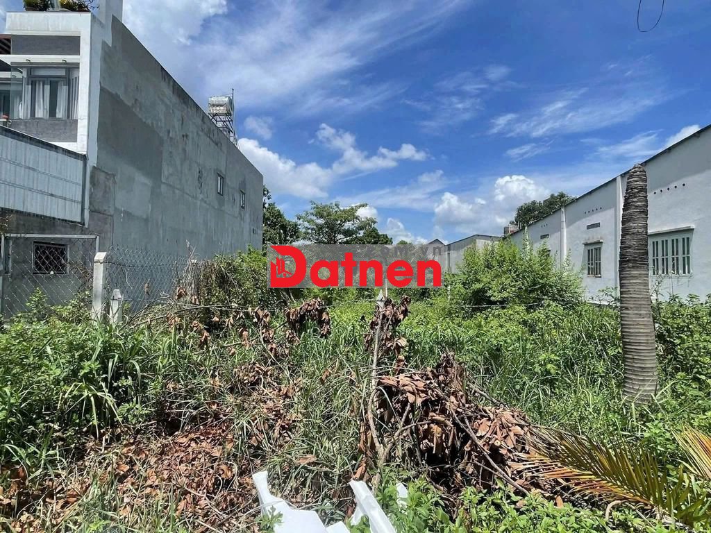 CHỦ CẦN TIỀN CHỮA BỆNH BÁN GẤP CHỢ VIỆT KIỀU – 650TR – 267,5M² – SHR