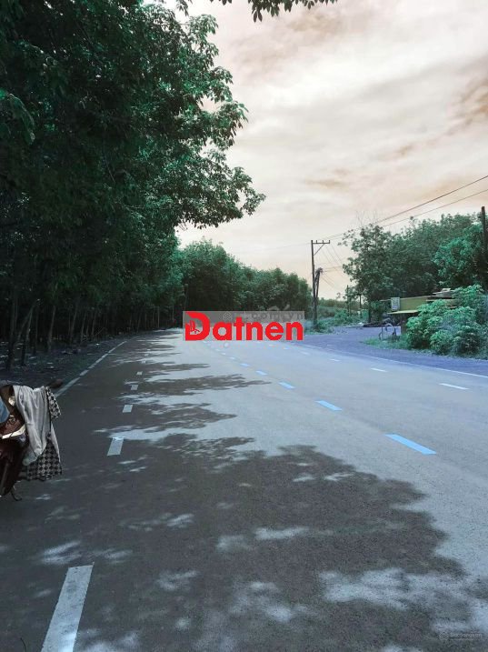 Bán đất Xã Tân Tiến, Đồng Phú, Bình Phước - 2000m2