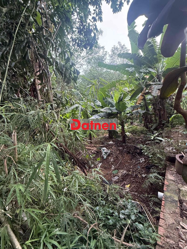 Bán Đất Quy Hoạch Tân Định ( Bến Cát )