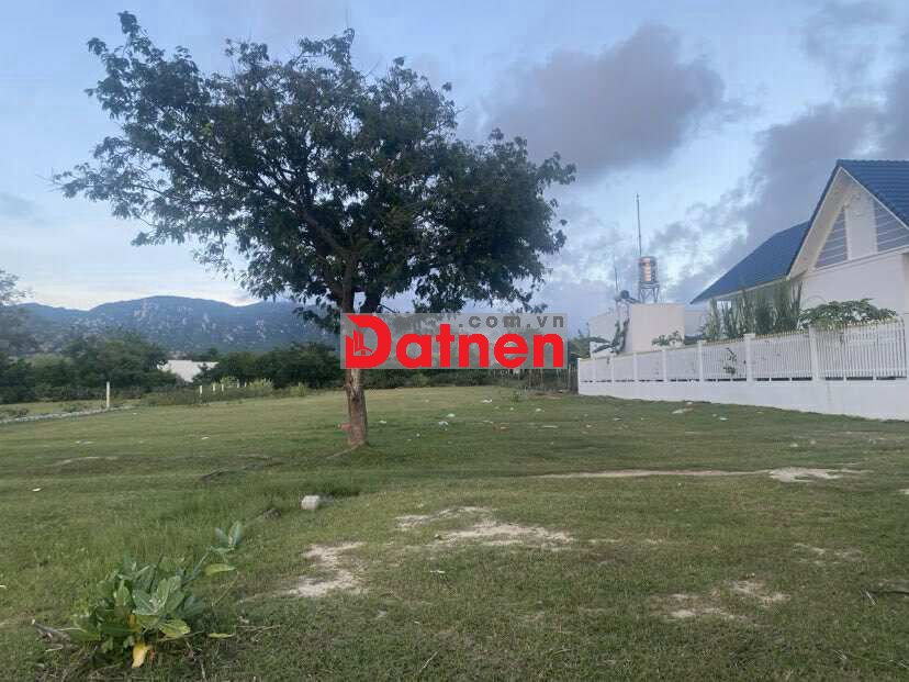 CHÍNH CHỦ BÁN ĐẤT NGAY SẢNH CƯỚI HẠNH NỮ NHƠN HẢI 1994M2, 1,85 TỶ