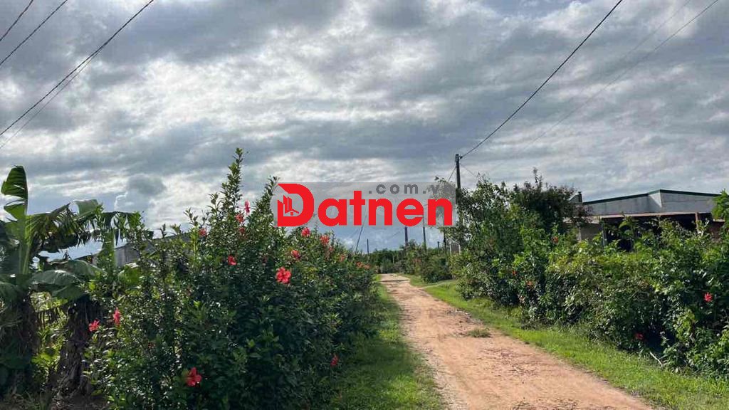 CHÍNH CHỦ BÁN 2,1 HA ĐẤT Ở GIÁ SIÊU RẺ