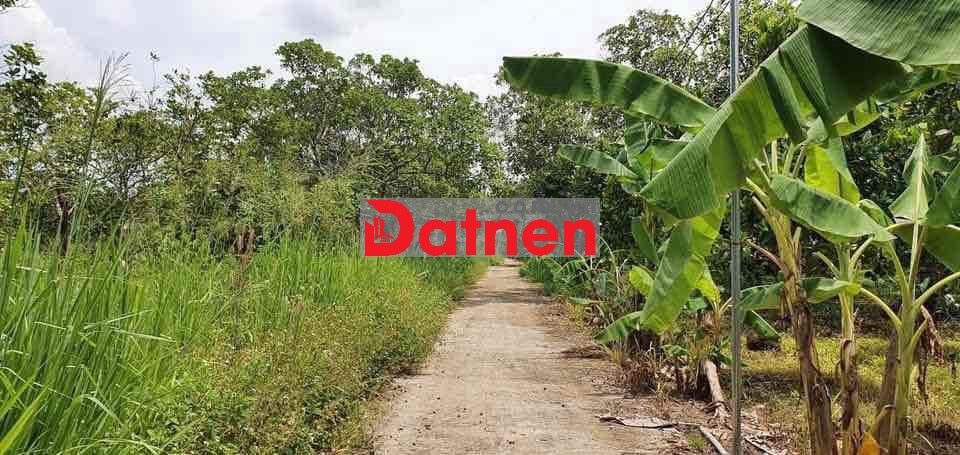 bán rẻ lô đất Long Khánh